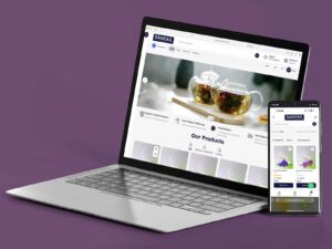 Sanzasholdings.com by Artlemoncreative